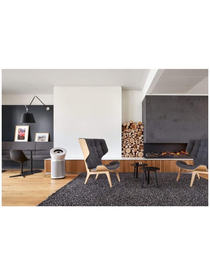 Dyson HEPA Big+Quiet Formaldehyde™ BP06 Hava Temizleyici (Beyaz/Parlak gümüş) Dyson HEPA Big+Quiet Formaldehyde™ BP06 Hava Temizleyici (Beyaz/Parlak gümüş)